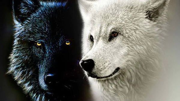Die Geschichte von den zwei Wölfen